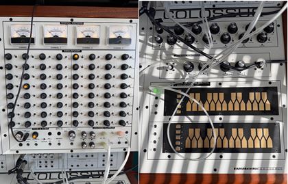 Analogue Solutions-Colossus Classic - just a year old!